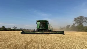 Anapo advierte pérdidas por falta de diésel durante la campaña agrícola