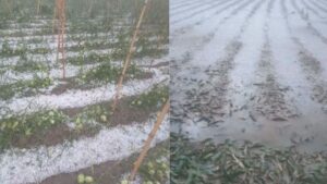 Granizadas y riadas dejan a más de 400 familias afectadas en Chuquisaca