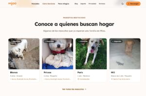 Crean Mioo, una aplicación boliviana para facilitar la adopción de perros y gatos