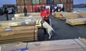 Cámara Forestal de Bolivia niega quema de madera retenida en Chile