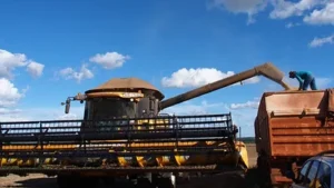 Créditos al 6% y 6,5%: conoce las cuatro opciones para productores