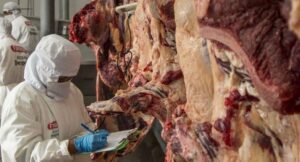 Bolivia exportó carne y derivados por $us 1.115 millones entre 2015 y 2025
