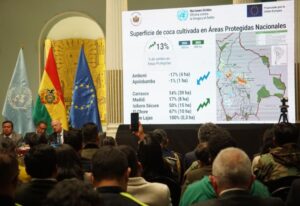 Cultivos de coca en Bolivia aumentaron 7 % en 2025, según la ONU