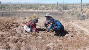 Senamhi alerta sobre posibles efectos de El Niño en Tarija desde octubre
