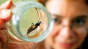 Estudio identifica una alternativa más corta para tratar el Chagas