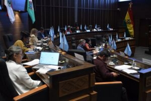 Senado aprueba proyecto que garantiza pasajes aéreos gratuitos para pacientes con cáncer