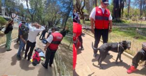 Can “Negro” ayuda a encontrar sustancias controladas en poder de siete menores en Sucre