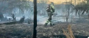 Incendios forestales en Cochabamba aumentan cerca del 180% respecto a 2025