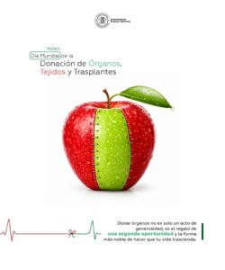 Salud promueve la donación de órganos y tejidos para salvar vidas en Bolivia