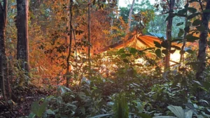 Destruyen tres fábricas móviles de cocaína en zonas rurales de Yapacaní