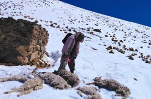 Gobierno evalúa declarar alerta nacional por impactos de El Niño