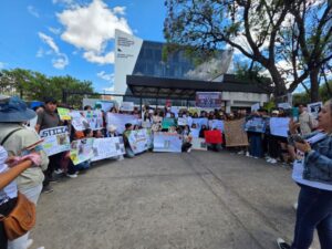 Suspenden nuevamente la audiencia por el biocidio de un oso jucumari