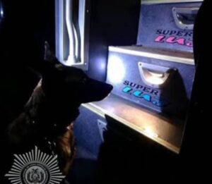 Can antidroga detecta marihuana en una flota y deja dos aprehendidos en Cochabamba